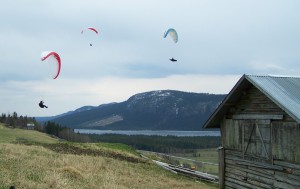 flyg i svensk fjällmiljö